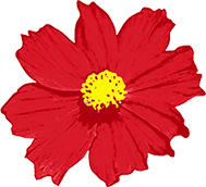 屏東汽車(chē)客運(yùn)股份有限公司